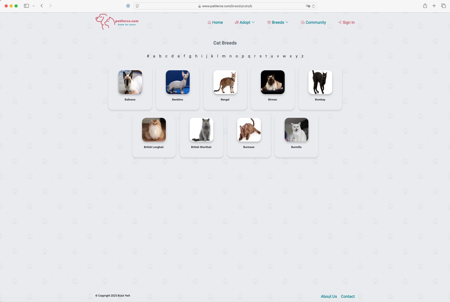 Patilerce Cat Breeds Page