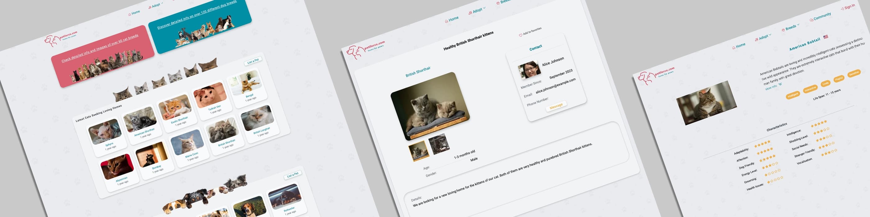 patilerce screenshot